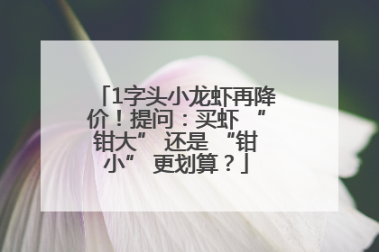 1字头小龙虾再降价！提问：买虾 “钳大” 还是 “钳小” 更划算？