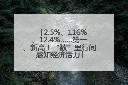 2.5%、116%、12.4%……第一、新高！“数”里行间感知经济活力