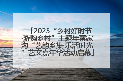 2025“乡村好时节·游购乡村”主题年蔡家沟“艺韵乡集·乐活时光”艺文嘉年华活动启幕