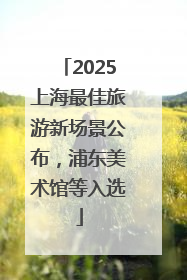 2025上海最佳旅游新场景公布，浦东美术馆等入选