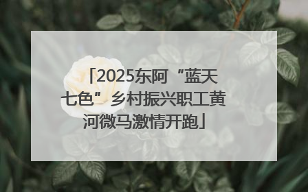 2025东阿“蓝天七色”乡村振兴职工黄河微马激情开跑