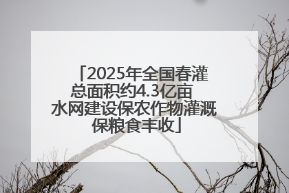 2025年全国春灌总面积约4.3亿亩 水网建设保农作物灌溉 保粮食丰收