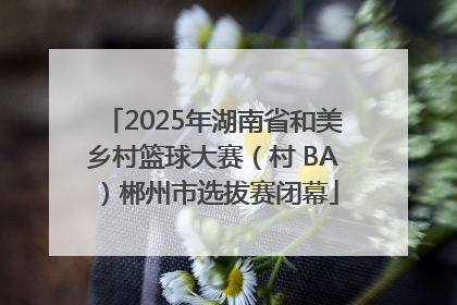 2025年湖南省和美乡村篮球大赛（村 BA）郴州市选拔赛闭幕