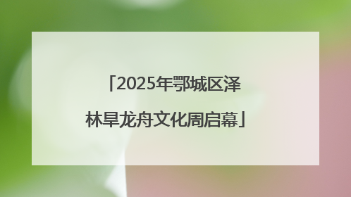 2025年鄂城区泽林旱龙舟文化周启幕