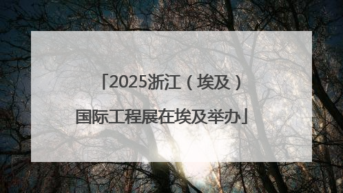2025浙江（埃及）国际工程展在埃及举办