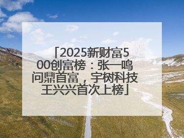 2025新财富500创富榜：张一鸣问鼎首富，宇树科技王兴兴首次上榜