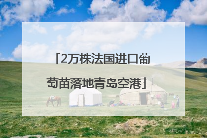 2万株法国进口葡萄苗落地青岛空港