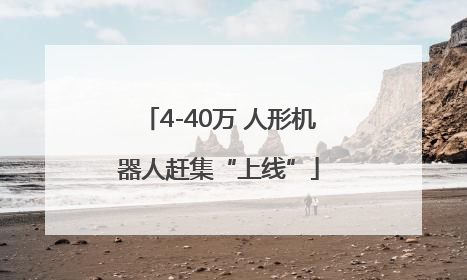 4-40万 人形机器人赶集“上线”