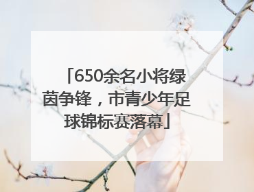 650余名小将绿茵争锋，市青少年足球锦标赛落幕