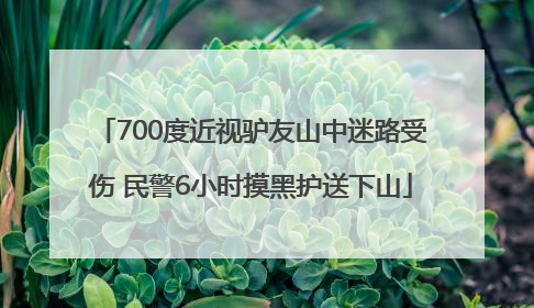 700度近视驴友山中迷路受伤 民警6小时摸黑护送下山