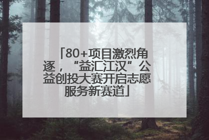 80+项目激烈角逐，“益汇江汉”公益创投大赛开启志愿服务新赛道
