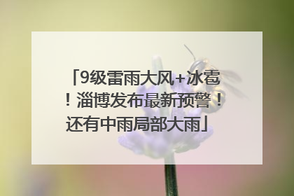 9级雷雨大风+冰雹！淄博发布最新预警！还有中雨局部大雨