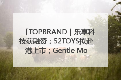 TOPBRAND｜乐享科技获融资；52TOYS拟赴港上市；Gentle Monster合作谷歌；Valentino传播官离职
